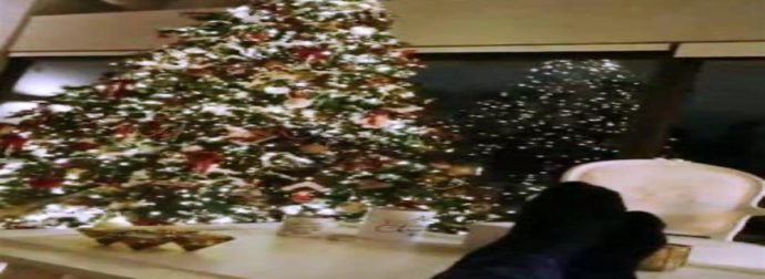 Κλάμα! Έλληνας ηθοποιός «αρνείται» να ξεστολίσει το Χριστουγεννιάτικο δέντρο