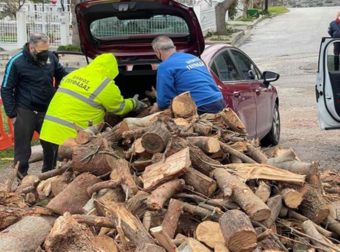 Γλυφάδα: Ο Δήμος μάζεψε τα σπασμένα δέντρα από την κακοκαιρία και προσφέρει δωρεάν τα ξύλα στους δημότες