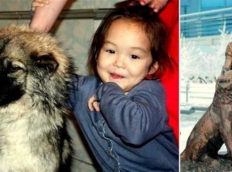 Σκυλάκι έσωσε 4 ετών κοριτσάκι χαμένο στην ερημιά της Σιβηρίας για έντεκα ημέρες