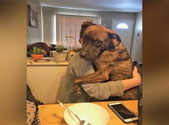 Σκύλος που διασώθηκε πριν από έναν χρόνο δεν σταματάει να αγκαλιάζει την ιδιοκτήτριά του κάθε μέρα