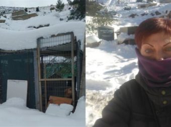 Εθελοντές περπατούν 2μιση χιλιόμετρα στο χιόνι για να φροντίσουν ζώα καταφυγίου