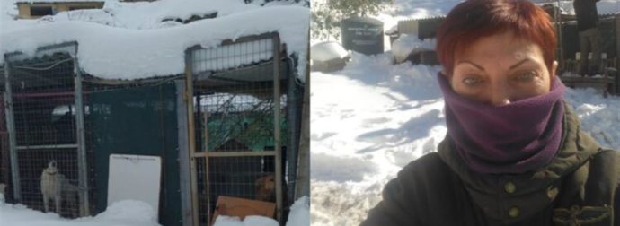Εθελοντές περπατούν 2μιση χιλιόμετρα στο χιόνι για να φροντίσουν ζώα καταφυγίου