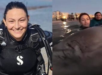 Τάνια Δράκου: Η εθελόντρια που συγκίνησε τραγουδώντας στη φάλαινα στον Άλιμο