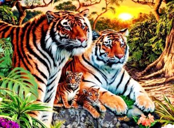 Πόσες τίγρεις βλέπετε; Η εικόνα που έχει μπερδέψει εκατομμύρια χρήστες του διαδικτύου
