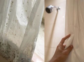 Μούχλα στην κουρτίνα του μπάνιου: Φτιάξτε αuτό το μείγμα με 2 υλικά από την κουζίνα σας και εξαφανίστε την