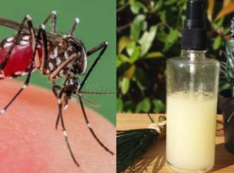 Κουνούπια τέλος: Η αποτελεσματική συνταγή για να μην σας τσιμπήσουν, όλο το καλοκαίρι