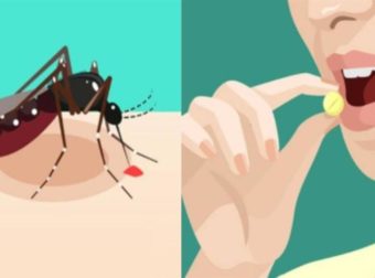 Αuτή η βιταμίνη σας λείπει και σας τσιμπάνε τα κουνούπια: Πως θα την αναπληρώσετε – Τι πpέπει να τρώτε