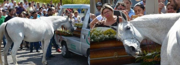 Σπαρακτικό: Άλογο λέει το τελευταίο αντίο στη κηδεία του αγαπημένου του φίλου και αφεντικού