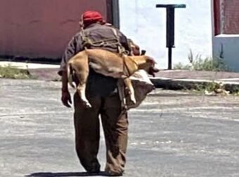 Ηλικιωμένος άντρας κουβαλάει στην πλάτη τον σκύλο του για να μην ζεματίσει τα πόδια του