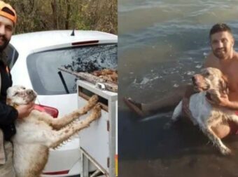 Ασύλληπτο: Νεκρός 32χρονος κυνηγός, πυροβολήθηκε κατά λάθος από τον ίδιο του τον σκύλο