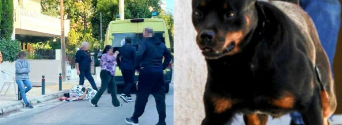 Την κατασπάραξε: Σκύλος ξέφυγε από το αφεντικό του και επιτέθηκε σε άτυχη γυναίκα έξω από το σπίτι της