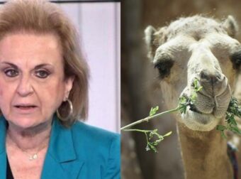 Σκοτώνει 1 στους 3 που θα κολλήσουν: Ανησυχία για τον “ιό της καμήλας”, κρούει τον κώδωνα η Ματίνα Παγώνη