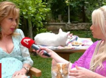Ισμήνη Καλέση: «Τους ανθρώπους δεν τους πολυσυμπαθώ, ζω με 40 γάτες»