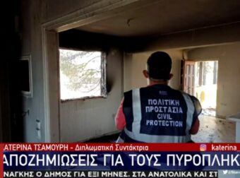 Άνοιξε η πλατφόρμα για τις αποζημιώσεις από τη φωτιά: Ξεκίνησε η καταγραφή από τη Σαρωνίδα