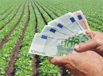 Ποια καλλιέργεια αποφέρει κέρδη 25.000 ευρώ ανά στρέμμα [φωτο]