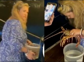 Τουρίστρια πλήρωσε 200 ευρώ για αστακό σε εστιατόριο και τον άφησε ελεύθερο στη θάλασσα