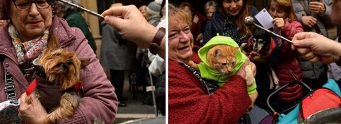 Πιστοί πάνε τα κατοικίδια ζωάκια τους στην εκκλησία για να κοινωνήσουν