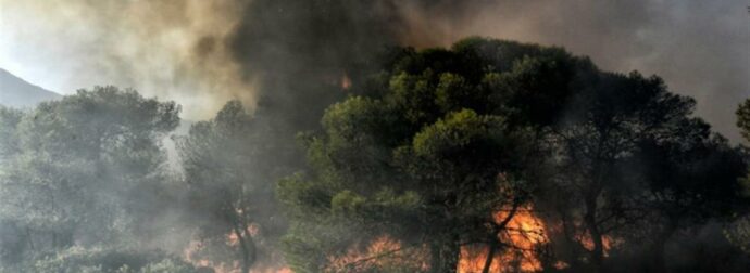 Βοιωτία: Φωτιά σε εξέλιξη στην Αλίαρτο – Δεν απειλούνται κατοικημένες περιοχές